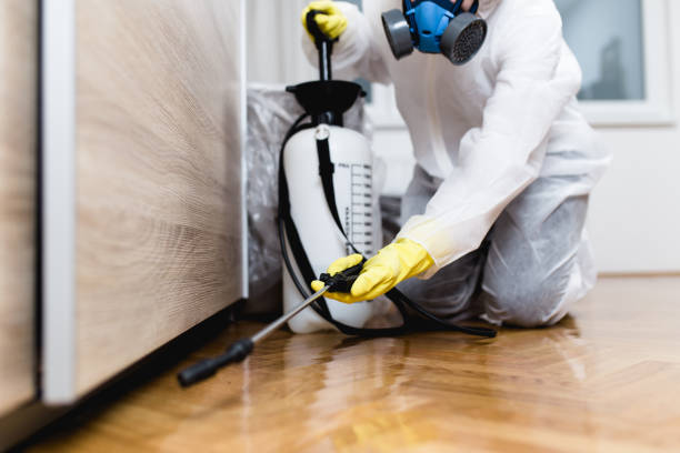 Best Rat Extermination Near Me  in Cumberland Center, ME