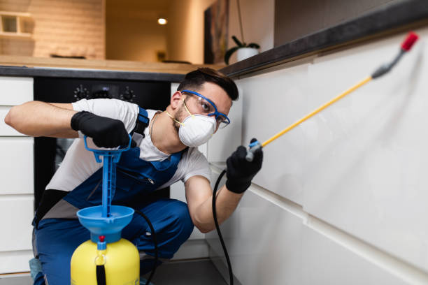 Flea Control Services in Cumberland Center, ME