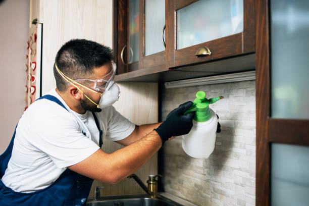 Best Pest Control for Businesses  in Cumberland Center, ME