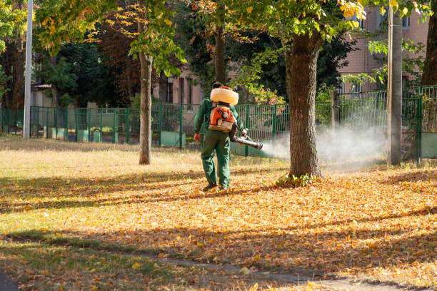 Best Cockroach Control Services  in Cumberland Center, ME